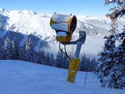 Canon à neige sur la descente Tannwald