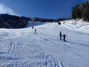 Descente Holzerabfahrt vers le Preunegg-Jet sur la Reiteralm