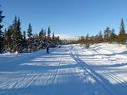 Piste de ski de fond à Högfjället (Sälen)