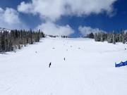 Piste au télésiège Apex Express