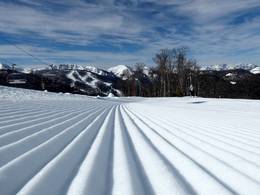 Kolašin 1450/Kolašin 1600