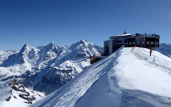 Le plus grand dénivelé dans l' Oberland bernois – domaine skiable Schilthorn – Mürren/Lauterbrunnen Le plus grand dénivelé dans l' Oberland bernois – domaine skiable Schilthorn – Mürren/Lauterbrunnen