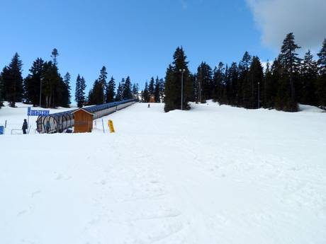 Domaines skiables pour les débutants dans les monts North Shore – Débutants Mount Seymour