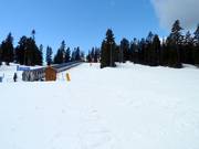 Goldie Meadows Learning Area avec tapis roulant