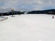 Piste pour débutants dans la partie inférieure