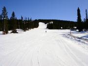 Zone d'entraînement directement à côté des parkings