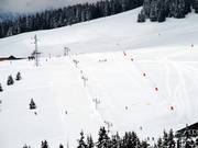 Piste facile Verdets dans le domaine skiable de Les Saisies