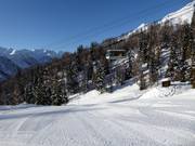 Station intermédiaire Tarlenta