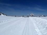 Piste de ski de fond sur le Stoos avec vue sur les Mythen