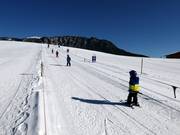 Téléski Koller (remontée pour débutants)