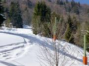 Köpflelift - Téléski