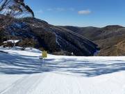 Piste difficile Black Snake