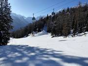 Descente vallée Tarlenta