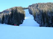Piste difficile Holzriese 2