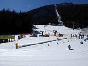 Bon plan pour les enfants : 