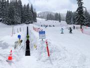 Zone d'entraînement au tapis roulant Porcupine