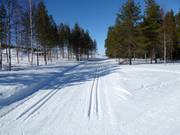 Piste de ski de fond à Stöten