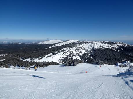 Alpes dinariques: Taille des domaines skiables – Taille Kopaonik