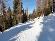Piste n° 4 Traverse vers Jschalp