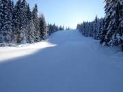Courte piste noire Grebenzenschuss