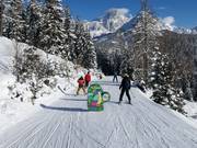 Parcours aventure filZOO