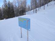 Piste de ski de fond d'altitude Schlickeralm : idyllique dans la forêt de montagne