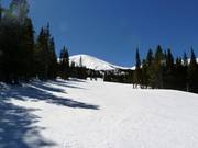 Pistes typiques en clairière forestière à Breckenridge