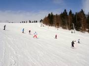 Piste facile au téléski Almwiesenlift