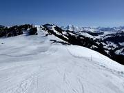 Large piste Hornfluh