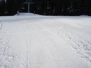 Piste damée