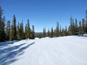 Piste très facile dans le domaine skiable de Trysil