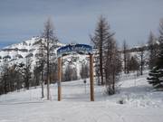Entrée dans le Rock Garden