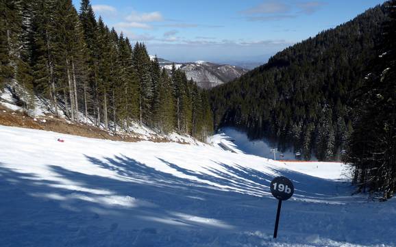 Domaines skiables pour skieurs confirmés et freeriders Šumadija et Serbie de l'Ouest – Skieurs confirmés, freeriders Kopaonik