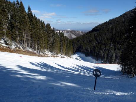 Domaines skiables pour skieurs confirmés et freeriders Alpes dinariques – Skieurs confirmés, freeriders Kopaonik