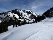 Vue depuis Oeschseite vers le Rinderberg