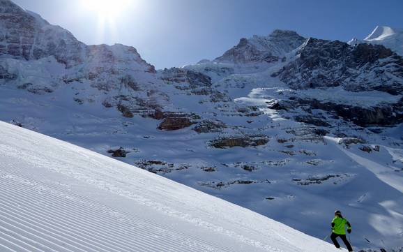 Meilleur domaine skiable dans la Jungfrau Region – Évaluation Kleine Scheidegg/Männlichen – Grindelwald/Wengen