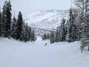 Piste vers le parc historique de Park City