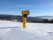 Canon à neige performant à l'Arber