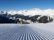 Piste fraîchement préparée à See