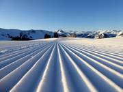 Traces dans la neige