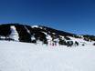 Occitanie: Taille des domaines skiables – Taille Les Angles