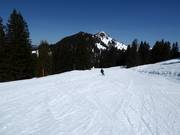 Piste facile Melchboden