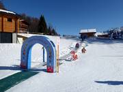 Tapis roulant dans le pays des lapins de Snowli