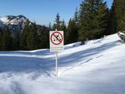 Protection de la forêt