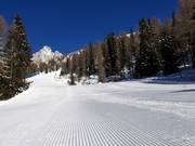 Piste parfaite à San Martino di Castrozza