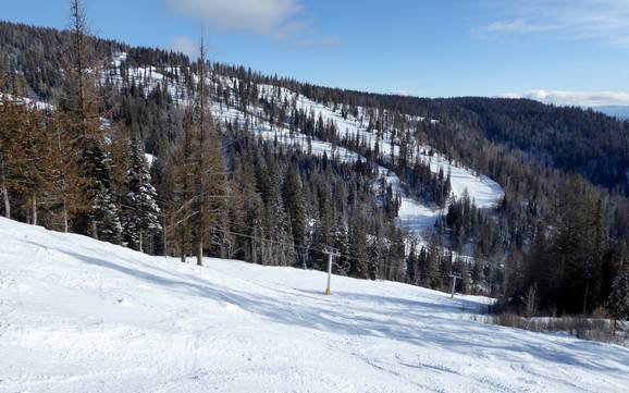 Diversité des pistes North Okanagan – Diversité des pistes SilverStar