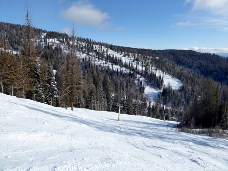Diversité des pistes Thompson Okanagan – Diversité des pistes SilverStar