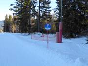 Balisage des pistes à l'Arber