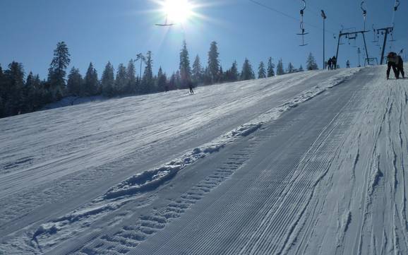 Diversité des pistes Murgtal – Diversité des pistes Kaltenbronn