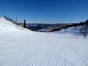 Piste Eiva n° 52 (Vestlia)